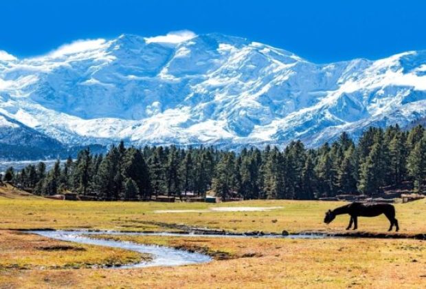 9.-NANGA-PARBAT-min-768x372