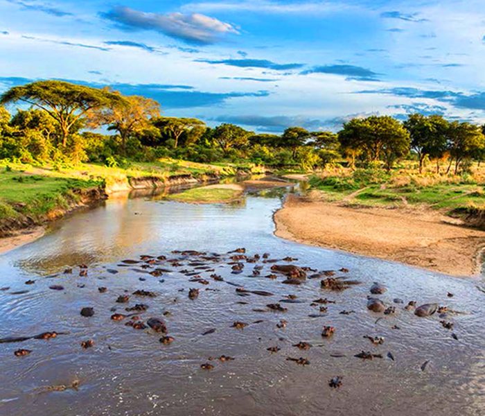 Best Selous Game Reserve safari Best Selous Game Reserve safari