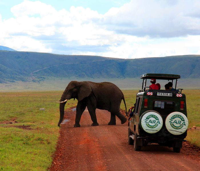 Best of Ngorongoro, Tarangire and Lake Manyara Safari1 Best of Ngorongoro, Tarangire and Lake Manyara Safari1
