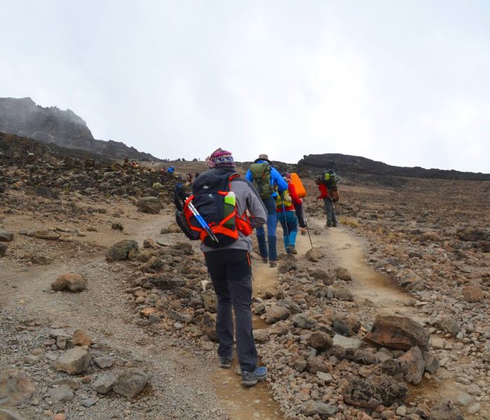 Kilimanjaro Londorosi Route1 Kilimanjaro Londorosi Route1