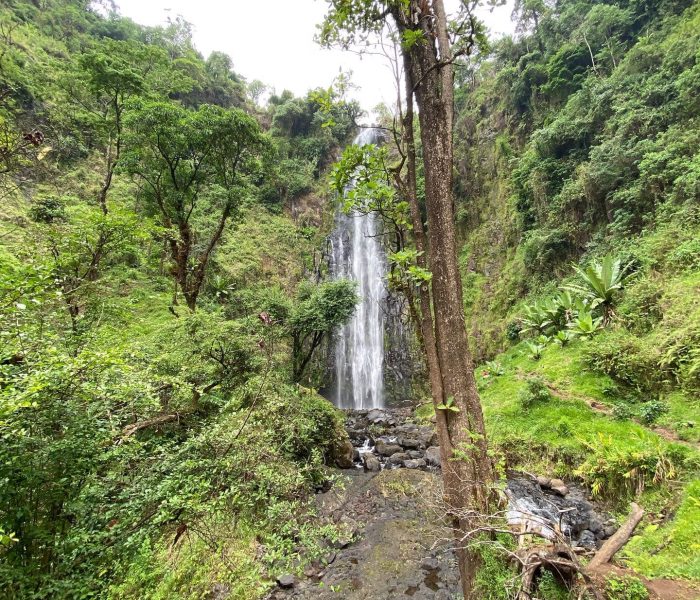 Materuni waterfall day tour zara Materuni waterfall day tour zara
