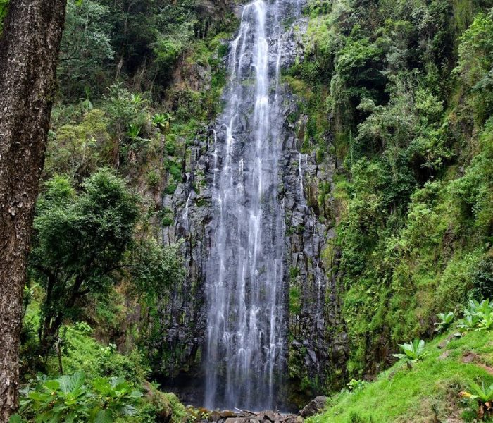 Materuni waterfalls tour Materuni waterfalls tour