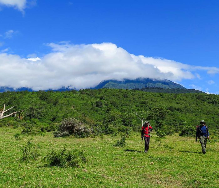 Mount Meru2 Mount Meru2