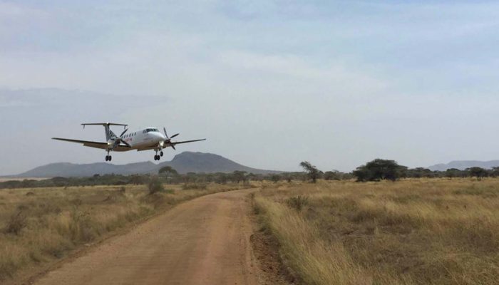 Serengeti Flying Safari Serengeti Flying Safari