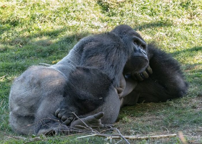 day rwanda 3