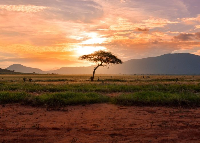kenya sunset kenya sunset
