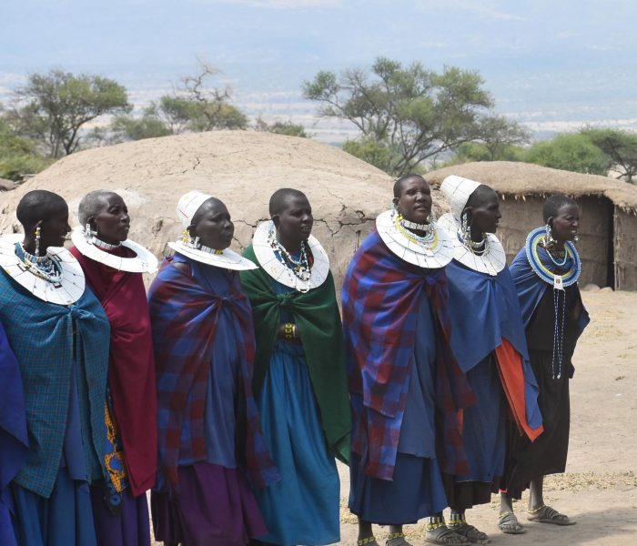 maasai boma village maasai boma village