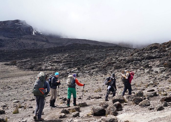 machame group machame group