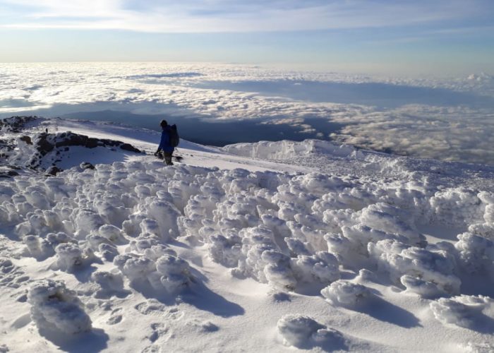 machame route 6 days machame route 6 days