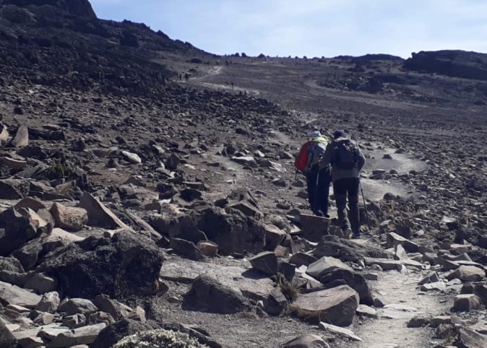 machame-route-7 c machame-route-7 c