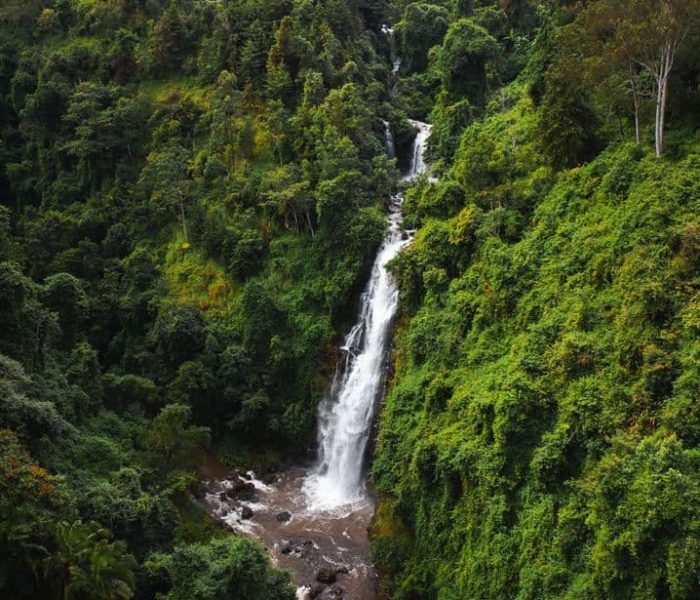 marangu waterfall TourZara marangu waterfall TourZara