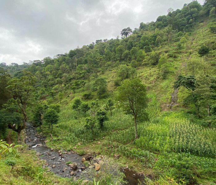 materuni waterfall tour materuni waterfall tour