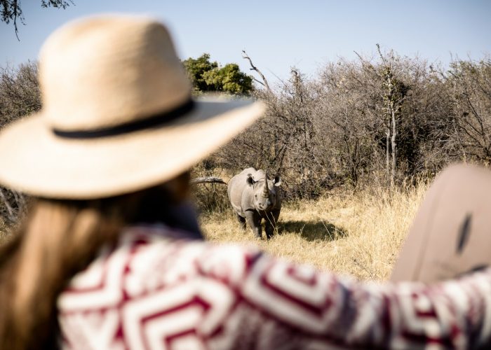 moremi national park safari moremi national park safari