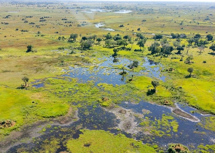 okavango delta okavango delta