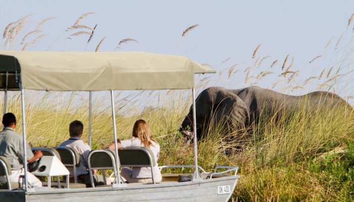 safari boat botswana safari boat botswana