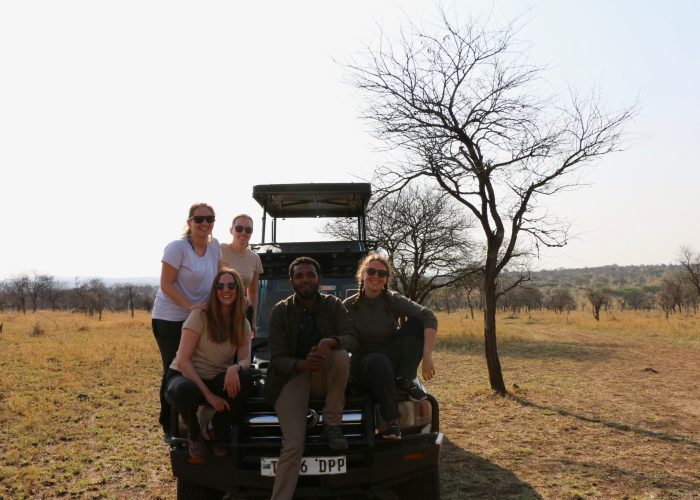 safari tz safari tz