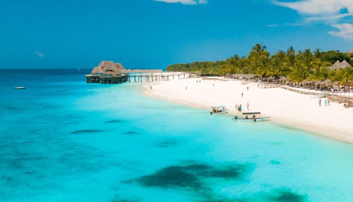 zanzibar safari beach zanzibar safari beach