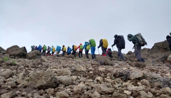 zara kilimanjaro